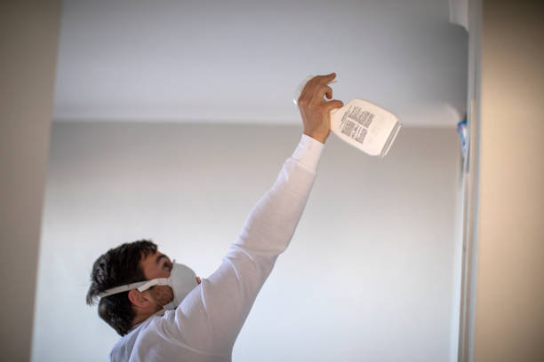 Best Home Mold Removal  in Choccolocco, AL