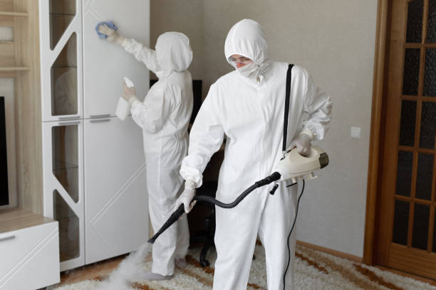 Best Residential Mold Removal  in Choccolocco, AL