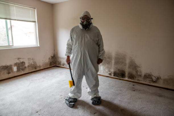 Best Professional Mold Removal  in Choccolocco, AL